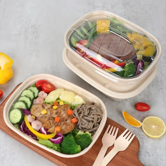 Biodegradable Large Tableware Menu Containers Snack Box Take out Lunch Box